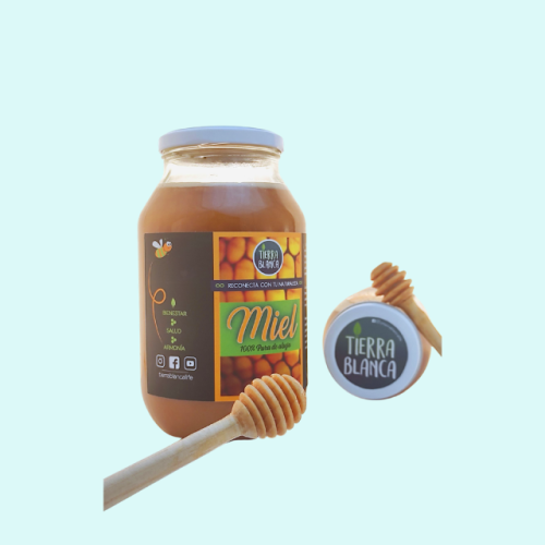 Miel 100% Pura de Abeja 620gr