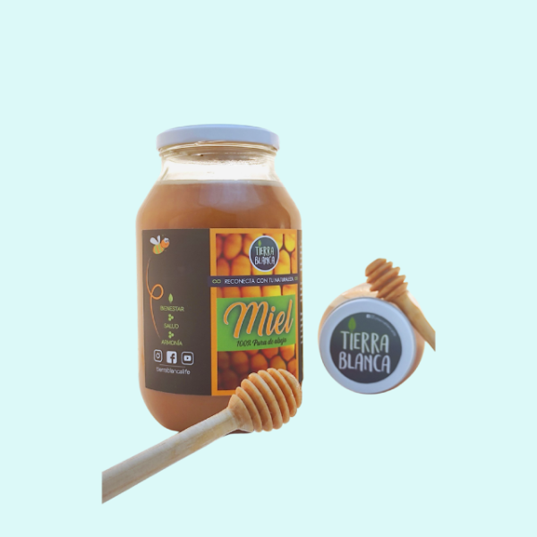 Miel 100% Pura de Abeja 620gr
